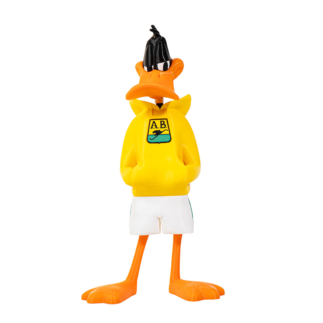 Pato Bucaramanga