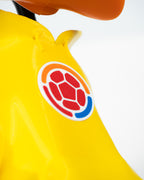 Pato Bucaramanga