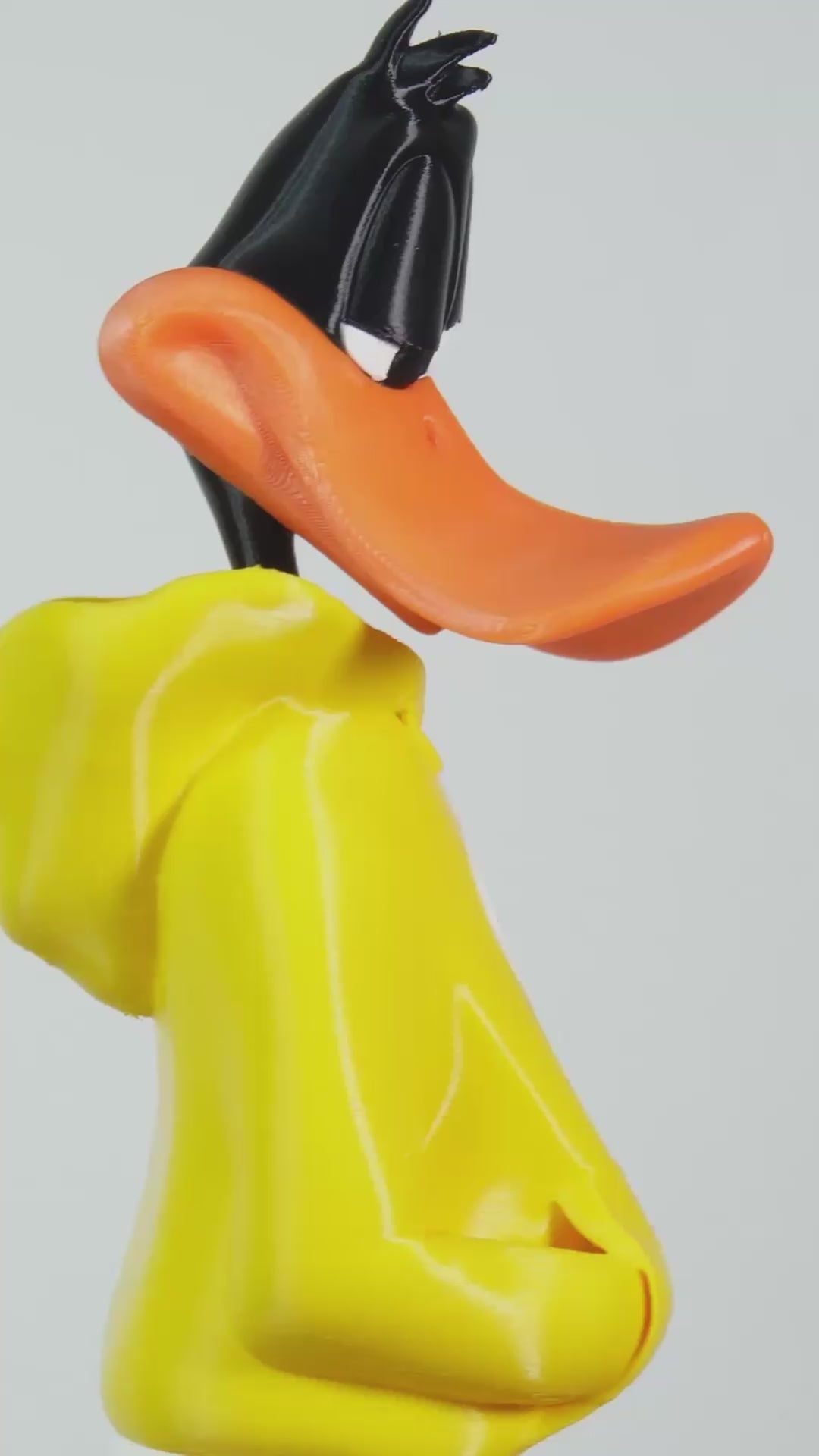 Pato Bucaramanga